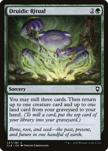 227-druidicritual