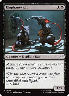 228-elephantrat