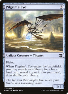 229-pilgrimseye