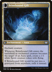 233-brinecomberbrineboundgift-b