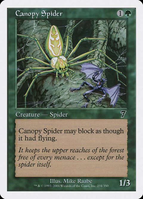 234-canopyspider