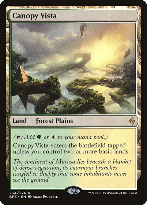 234-canopyvista