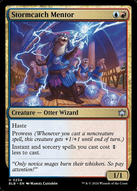 234-stormcatchmentor