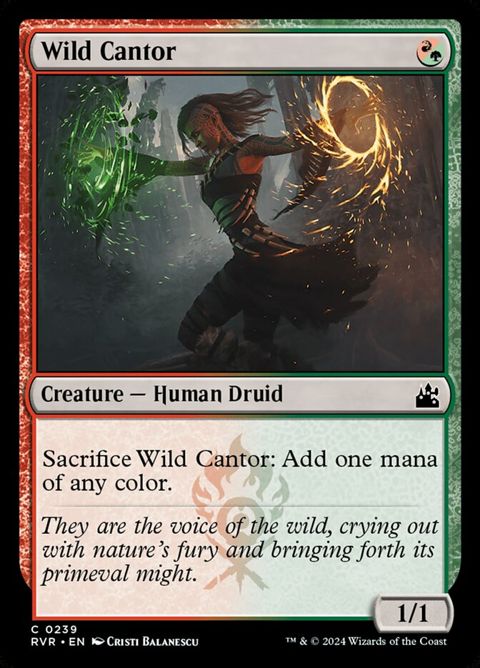 239-wildcantor