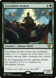 24-ascendantacolyte