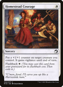 24-homesteadcourage