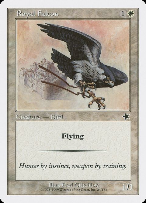 24-royalfalcon
