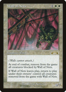 24-wallofnets