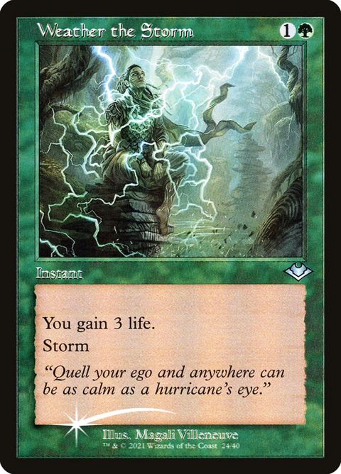 24-weatherthestorm