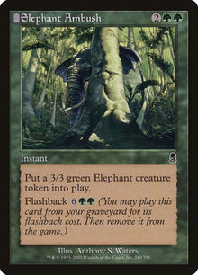 240-elephantambush