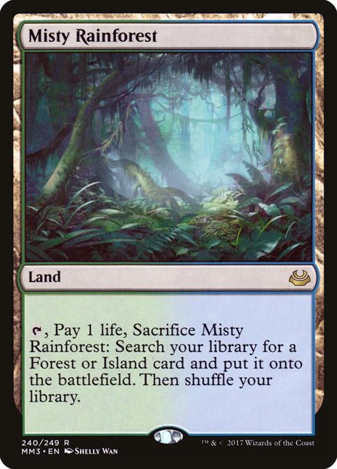 240-mistyrainforest