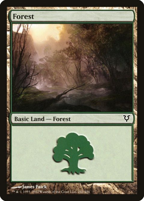242-forest