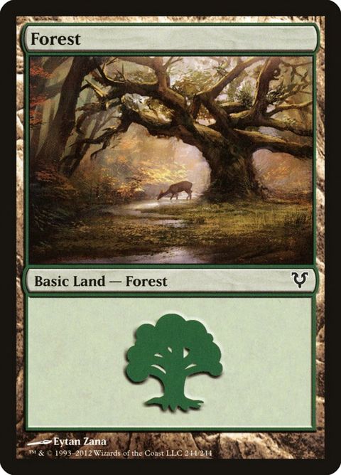 244-forest