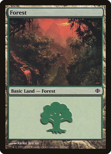 246-forest