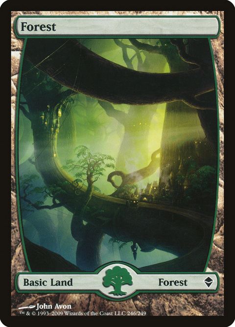 246-forest