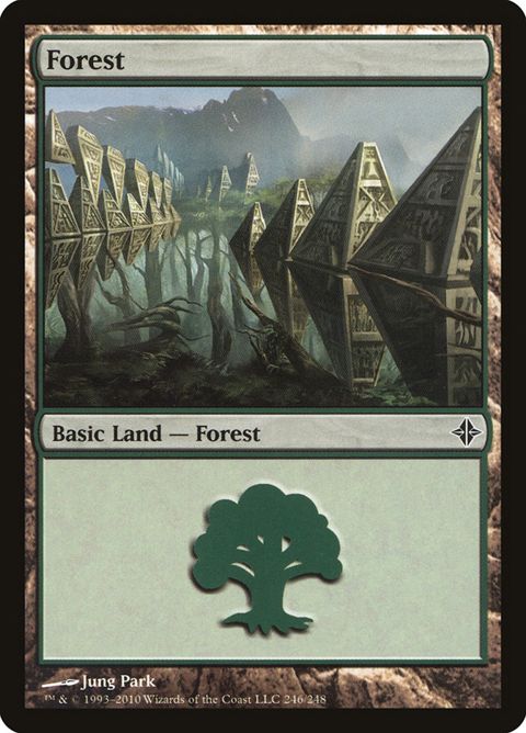 246-forest