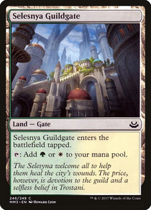 246-selesnyaguildgate