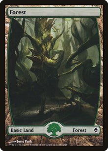 247-forest