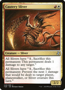 248-cauterysliver