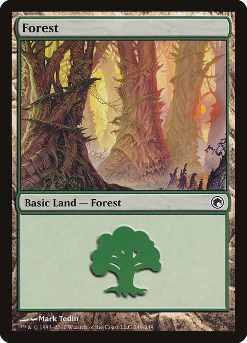249-forest