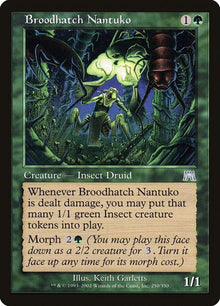 250-broodhatchnantuko