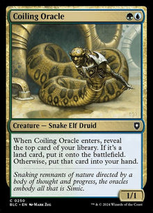 250-coilingoracle