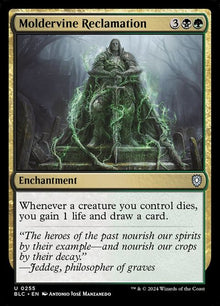 255-moldervinereclamation
