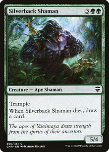255-silverbackshaman