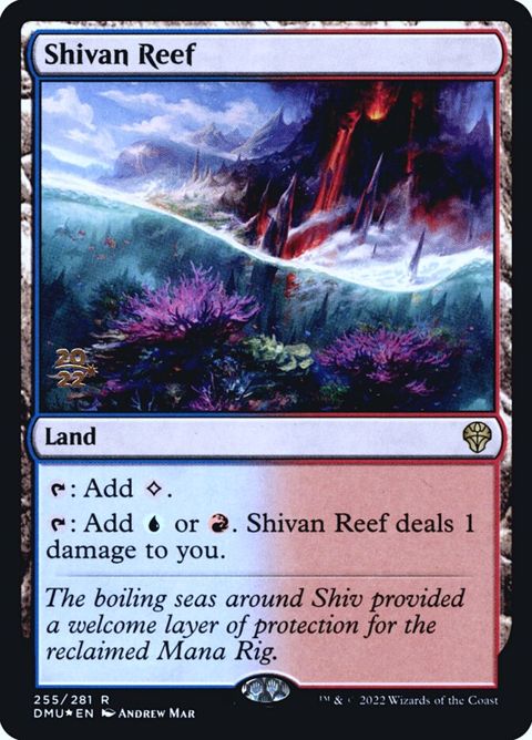 255s-shivanreef