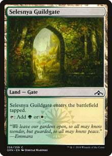 256-selesnyaguildgate