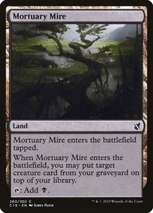 260-mortuarymire