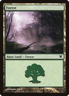 262-forest