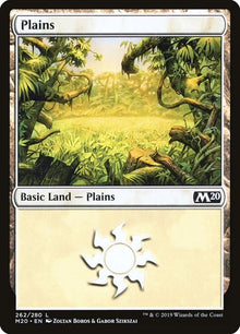 262-plains