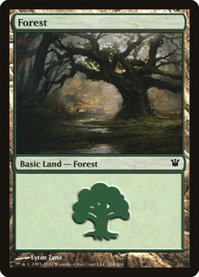 264-forest