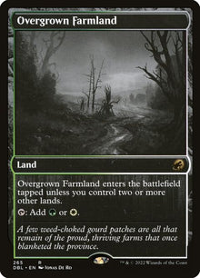 265-overgrownfarmland