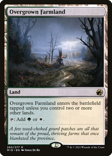 265-overgrownfarmland