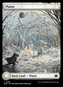265-plains
