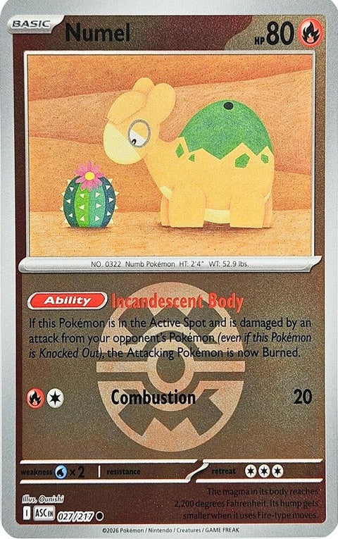27-numel-quickball