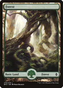 270-forest