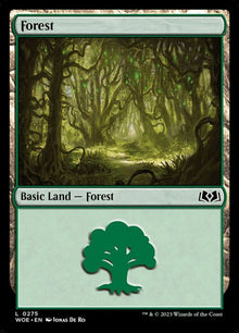 275-forest