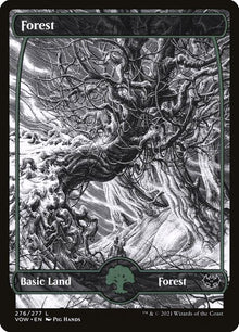 276-forest