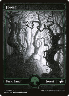 276-forest