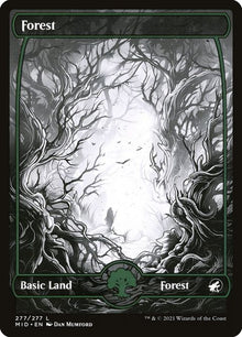 277-forest