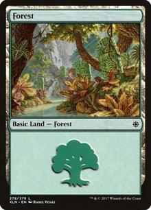 278-forest