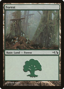 28-forest