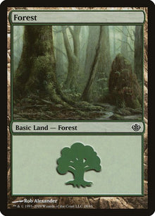 28-forest