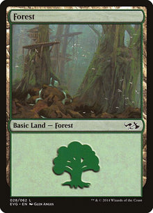 28-forest
