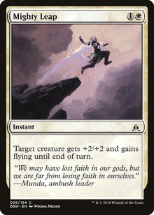28-mightyleap