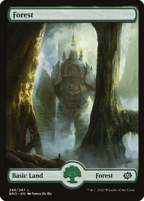 286-forest