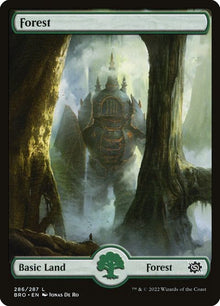 286-forest
